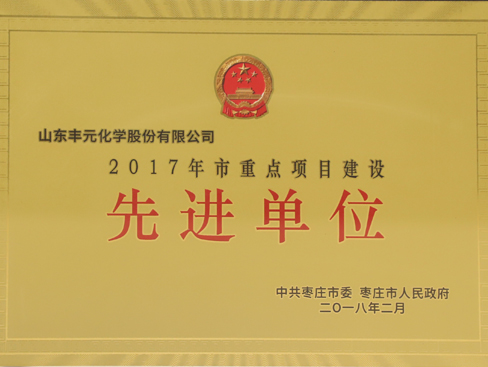 枣庄市重点项目建设先进单位